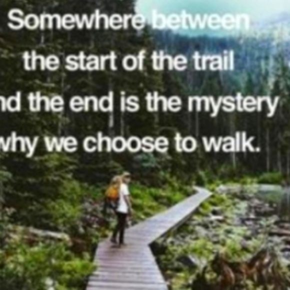 πΈ ROCK REVIVAL SEXY Joey BOOT CUT Jean's VNUC SZ 29 EUC - Picture 14 of 16